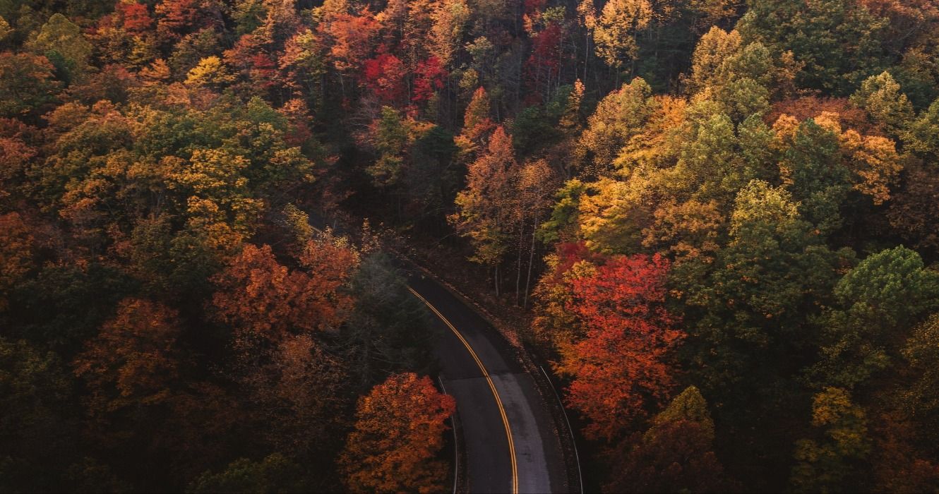 A Road Lined With Colorful Fall Foliage In Gatlinburg, Tennessee, Great Smoky Mountains National Park, United States